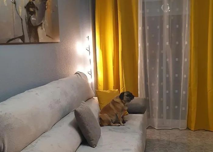 La Casa De Pedro Apartment Torrevieja